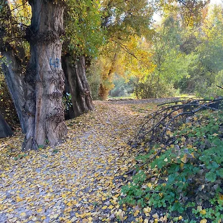 La Vereda Del Rio Guadalquivir