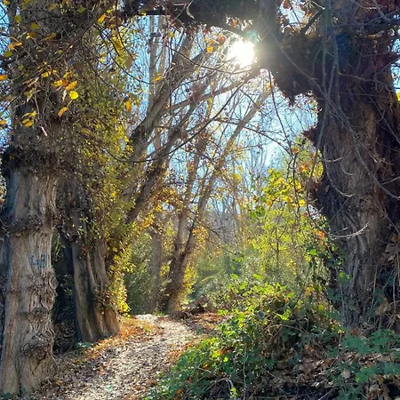 La Vereda Del Rio Guadalquivir Holiday home *